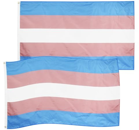 Lgbtq Lot de 2 drapeaux Hillylolly aux couleurs vives, 90 x 150 cm, grand drapeau transgenre avec 2 œillets pour jardin, balcon, chambre, intérieur et extérieur, décoration de défilé du mois de fierté