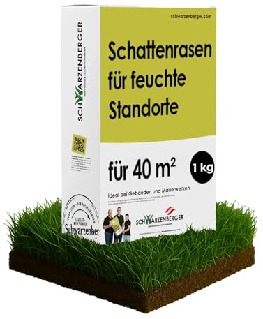 Samen Schwarzenberger I Schattenrasen für feuchte Standorte I 1 kg für 40 m² I strapazierfähig & stresstolerant I hohe Toleranz gegenüber Bodenfeuchte