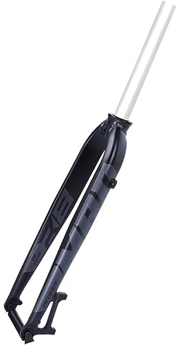YADZISW Forcella Rigida per Mountain Bike MTB da 26, 27,5 e 29 Pollici, Forcella Dritta da Strada 700c da 1-1/8, Freno a Disco Anteriore QR 9x100mm (Colore: Grigio, Taglia 29)