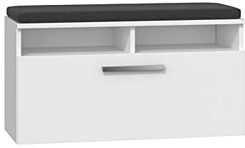 ADGO Mobili per corridoio, guardaroba, scarpiera con panca portaoggetti, 6 ripiani per scarpe, cuscino, per corridoio (scarpiera, colore bianco)