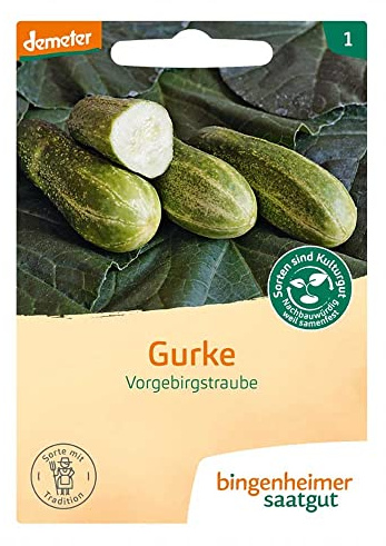 BINGENHEIMER Saatgut Gurke, Sorte Vorgebirgstrauben