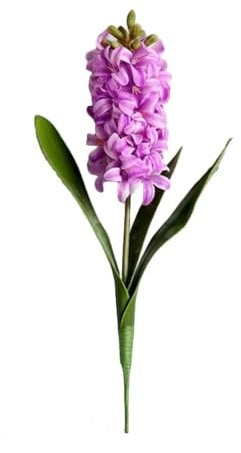 TVIVID 1pc Fiore Simulato Giacinto Casa Festa di San Valentino Decorazione, Narciso Plastica Artificiale Fiore Ornamenti Pianta In Vaso