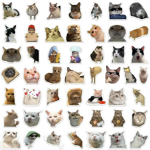 Hopzab 50Pcs Funny Cat Stickers Set,PVC self-Adhesive Label Cute Kawaii Decals for Cat Lovers, Aesthetic Stickers for Water Bottles, Laptops, Scrapbooks, Phones, Skateboards, and Luggage