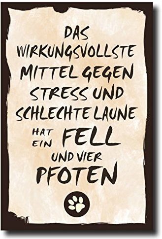 Holzschild Dekoschild Das wirkungsvollste Mittel gegen Stress und schlechte Laune hat Fell und vier Pfoten Hund mit Spruch 20x30cm Shabby Chic Vintage Wandschild Türschild Holzbild Holztafel Bild