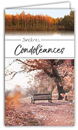 24-1043 Carte Sincères Condoléances Format 16x9,5cm avec Enveloppe Blanche Décès et Deuil - Cérémonie Funéraire - Paysage Automne Forêt Arbres Banc - Fabriquée en France