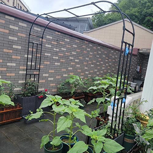 Gartenbogen Rankgitter Rosenbogen Metall Torbogen Rankhilfen Für Kletterpflanzen 1.2x2.4x0.4m Garten-Pergola Für Innen-Und Außenbereich Schwarz 2.4x2.4x0.4m 3.0x2.4x0.4m ( Size : W240xH240cm/94x94in )