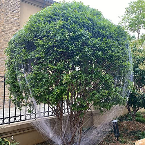 Red Blanca Para Árboles Frutales De Pe Para Ardillas Y Pájaros, Red Grande Para Pájaros De 0,8X0,8 Pulgadas Para Plantas De Balcón De Jardín, Arbustos De Arándanos Y Gallin,Lxw-5x5m(16.4x16.4ft)