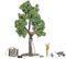 Busch 1834 H0 casa sull'albero in costruzione