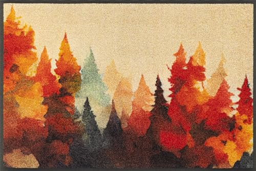 Wash+Dry Fußmatte, Golden Season 50x75cm, innen/außen, waschbar, bunt