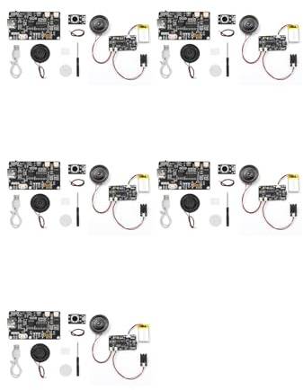 Padivine 5X Beschreibbares Soundmodul mit MP3-Download Type-C für Geschenkbox, Weihnachts- und Geburtstagskarte, Musik-Cover, Wand mit