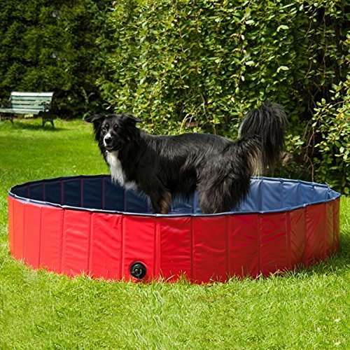 Procyon Hundepool - 80 cm Durchmesser