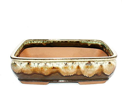 exotenherz Bonsai-Schale XL - rechteckig G92 - zweifarbig braun-beige - L35,5 x B28cm x H10cm