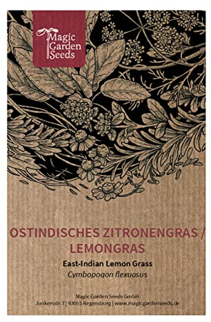 Citronnelle des Indes orientales/Herbe de malabar (Cymbopogon flexuosus) env. 250 semences