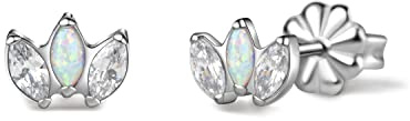 Limerencia Titan Ohrringe für Damen Herren, G23 Medizinische Ohrstecker Hypoallergen Gesundheitsstecker Ohrringe, Kronen-Ohrstecker für empfindliche Ohren Mode Damenschmuck