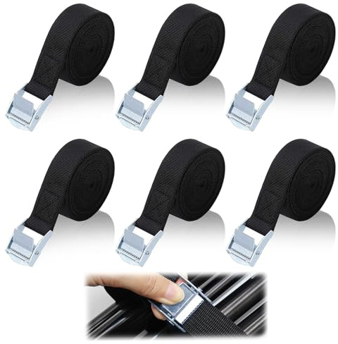 TAIXING 6 cinghie a cricchetto, 2 m x 20 mm, piccole cinghie a cricchetto resistenti, 250 kg, cinghie di ancoraggio nere regolabili con fibbia per furgoni, moto, camion, rimorchi, bagagli, carichi