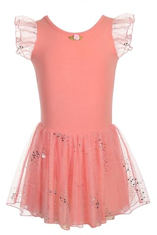 HIPPOSEUS Niña Maillot de Danza Lentejuelas Tutú Vestido de Ballet Gimnasia Leotardo Body Clásico para Niñas,Y05-Rosa Retro,11-12 Años