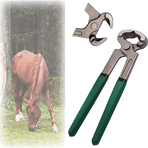 Tronchesi per Cavalli, 8 Taglierina per Zoccoli in Acciaio Kit di Strumenti per Tagliare Maniscalco per Cavalli Pinza per Pulizia delle Unghie Pinze a Ferro di Cavallo Utensile da Taglio per Bovini