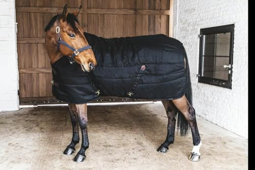 Kentucky - Stalldecke Classic schwarz 160-7'0 100 gram
