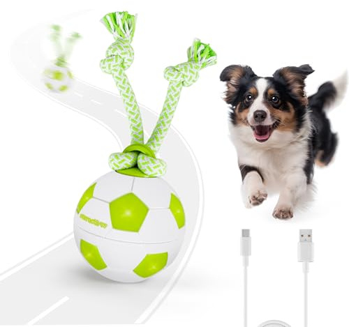 ALL FOR PAWS Interaktiver HundeBall, Beweglicher Hundeball mit LED-Lichtern, Hundespielzeug gegen Langeweile, Bewegungsaktiviertes Spielzeug für kleine/mittelgroße/große Hunde (Fußball)