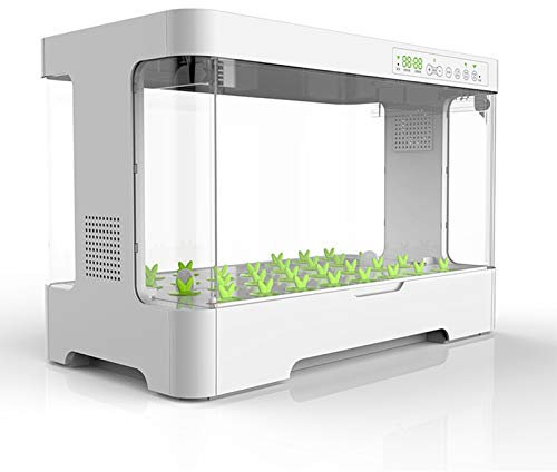 ZXCASDF Serre Lampe De Croissance pour Plantes D'Intérieur – 20 W – Cycle Jour/Nuit – Bac Inclus Serre Usine Mini De Plantes À Effet De Serre