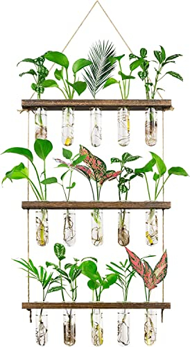 Grovind 3 Stufen große Blumenvasen Wand hängende Pflanze Vase mit hölzernen Stand, Glas Pflanzer Reagenzglas für hydroponische Pflanzen Home Office Patio Decor