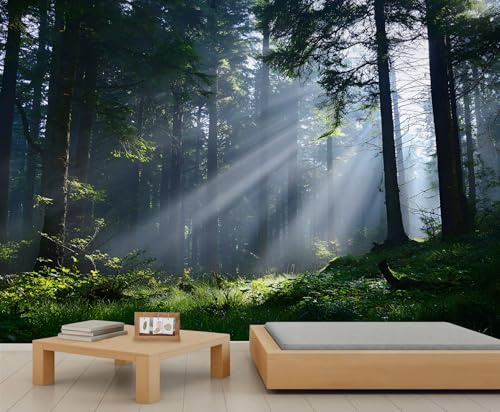 Misty Forest Wandbild, Sonnenlicht, Baum, Landschaft, Akzent-Tapete, grüne Waldtapete, natürliche Landschaft, Kindertapete für Schlafzimmer, Wohnzimmer, Wandbild, Poster, Dekoration, 150 x 105 cm