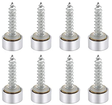 VictorsHome Mirror Screws Decorative Cover Cap Nails Fasteners, Polished Brass Silver, 10mm 8pcs