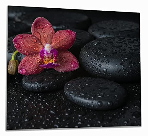 Wallario Herdabdeckplatte/Spritzschutz aus Glas, 1-teilig, 60x52cm, für Ceran- und Induktionsherde, Orchideen-Blüte auf schwarzen Steinen, benetzt mit Wasser-Tropfen