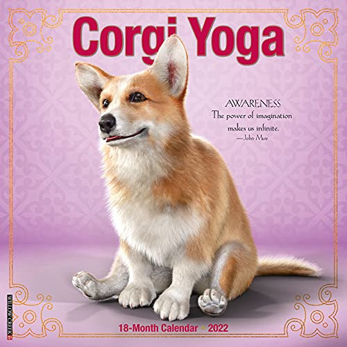 Corgi Yoga 2022 Wall Calendar