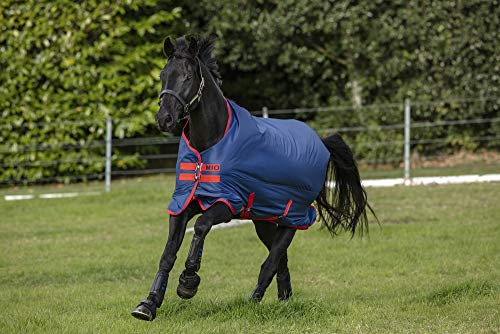 Horseware Mio Turnout Lite 0g - Dark Blue & Red