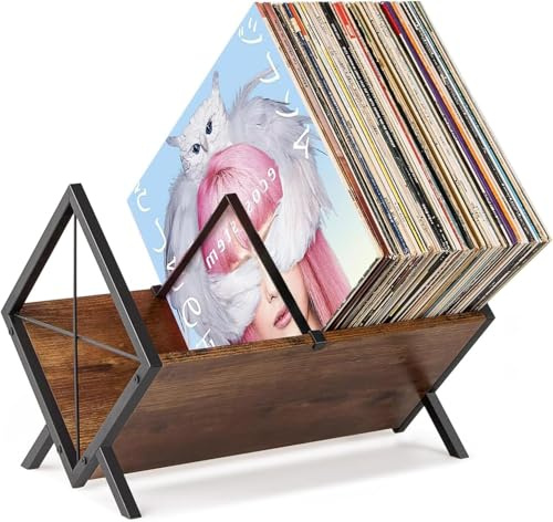 CAIEJSAEN Schallplatten Aufbewahrung, Schallplattenständer für 80–100 LPs,1 Etage Vinyl Regal mit Verstellbarer Trennwand, Schallplatten Regal für Zuhause & Musikliebhaber, 40x30.5x22cm