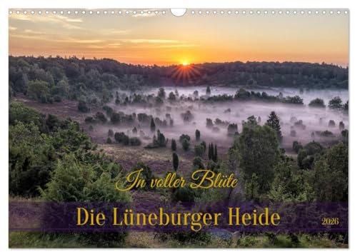 Die Lüneburger Heide - In voller Blüte (Wandkalender 2026 DIN A3 quer), CALVENDO Monatskalender: Tauche sie ein in die atemberaubende Schönheit der ... in der Lüneburger Heide! (CALVENDO Natur)