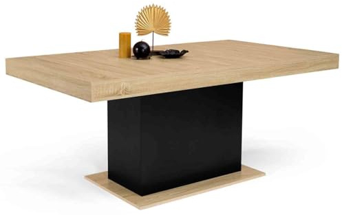 IDMarket - Table à Manger Rectangle Eden 8 Personnes Bois et Noir 160 cm
