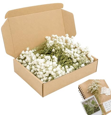 120 stycken torkade vita brudslöjor för pyssel, äkta torkade blommor för gör-det-själv-hantverk, hartssmycken, ljus och scrapbooking dekorationer