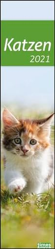 times&more Katzen long Kalender 2021