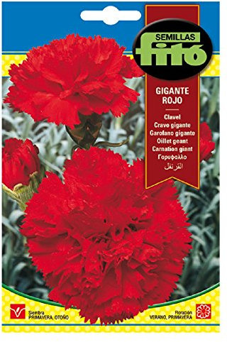 Semillas Fitó 550 - Semillas de Clavel Gigante Rojo