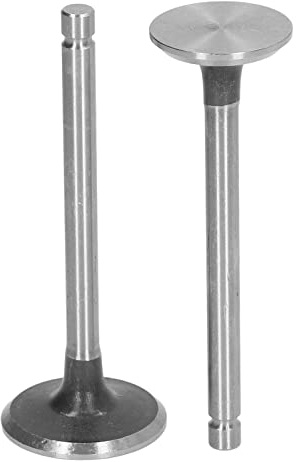 Kit de Soupape de Moteur, 2 Pièces, Admission et Échappement, Acier Allié, pour Motoculteur 186F FA, Accessoires