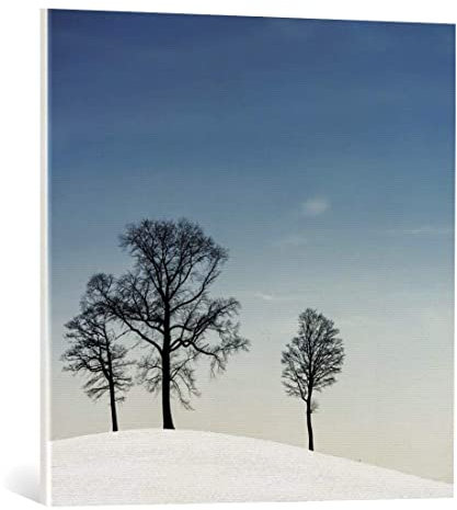 kunst für alle Leinwandbild: Piet Flour Winter-Haiku - hochwertiger Druck, Leinwand auf Keilrahmen, Bild fertig zum Aufhängen, 70x70 cm