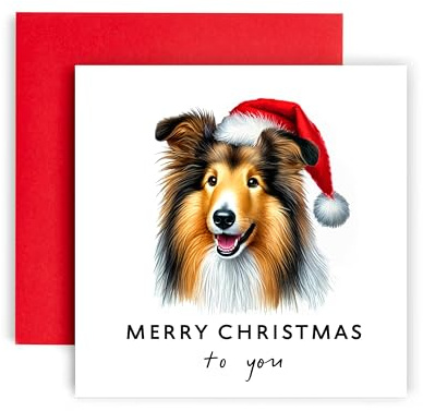 Huxters Weihnachtskarte Hund - Collie - Frohe Weihnachten an Hund Mama und Hund Papa - Weihnachtskarte vom Hund an Freunde Familie Erste Weihnachten (Collie)