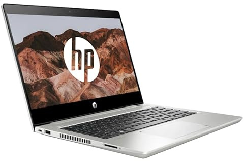HP Business Laptop Notebook ProBook 430 G7 i5-10210u 8GB 256GB SSD 1920x1080 Windows 11 (Generalüberholt)