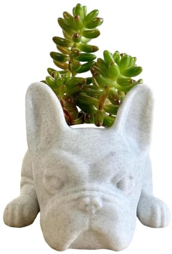 Imtrub Französische Bulldogge Blumentopf - Französische Bulldogge Pflanzgefäße für Zimmerpflanzen - Harz-Sukkulententopf, kreative kleine Kaktus-Töpfe, Blumentöpfe, Pflanzengefäße