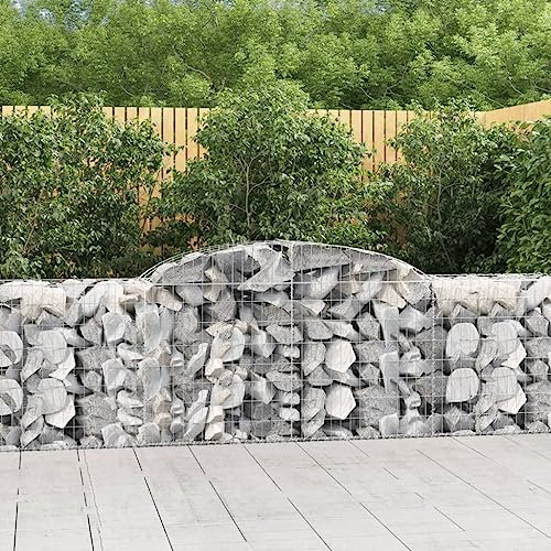 qohoio Cesti Gabbioni ad Arco 20 pz 300x50x80/100 cm Ferro Zincato,Cesti Gabbioni ad Arco,Gabbione per Sassi,Gabbioni Metallici per Pietre-3146697