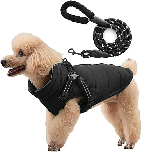 FFWTPY Cappotto Imbottito Cane Invernale Impermeabile Giacca Termica Animali Domestici Guinzaglio Riflettente Resistente Cuccioli