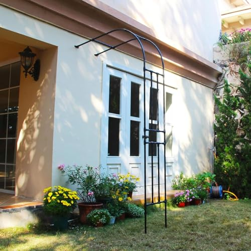 Demi-arche de jardin en métal noir - Treillage mural pour plantes grimpantes et fleurs - Support extérieur pour arche de soutien extérieur (taille : 240 x 240 x 40 cm)