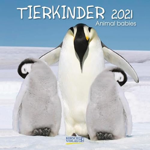Tierkinder 2021: Broschürenkalender mit Ferienterminen. Babys von Tieren in süßen Bildern. 30 x 30 cm