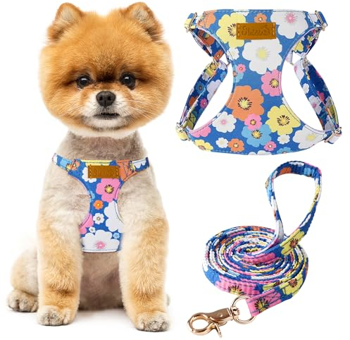 SlowTon Hundegeschirr mit Leine, No-Pull leichtes weiches Wildleder-Welpengeschirr mit Blumenmuster und Schnappschnalle, verstellbares Geschirr Hund für kleine und mittelgroße Hunde(Blau, XXS)