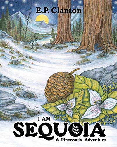 I Am Sequoia - A Pinecone's Adventure