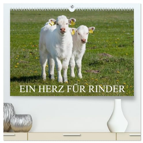 Ein Herz für Rinder (hochwertiger Premium Wandkalender 2026 DIN A2 quer), Kunstdruck in Hochglanz: Rinder in artgerechter Haltung auf den Weiden auf 13 wundervollen Fotos (CALVENDO Tiere)