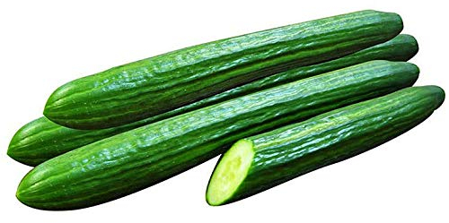 Japanische Langgurke - 40-50 cm in Länge - Gurke - 20 Samen