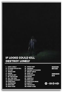 ydhgebn Destroy Lonely Poster, Wandkunst, Cover, Zimmer, Vintage-Poster, dekoratives Gemälde für Schlafzimmer, Wohnzimmer, ästhetisches, elegantes Poster, 30 x 45 cm, ungerahmt
